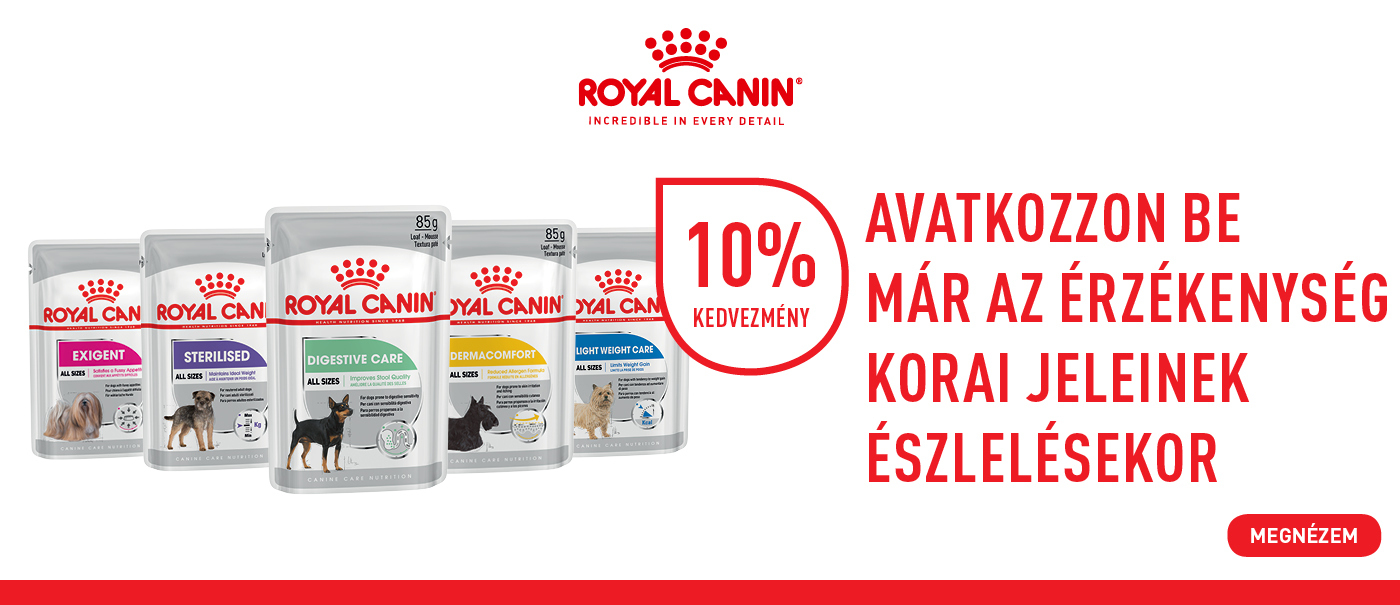 rc kutya nedveds