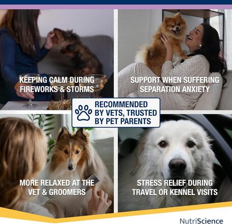 NutriScience Kalm Aid stresszoldó készítmény