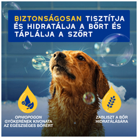 Douxo Spa hidratáló sampon kutyáknak #6