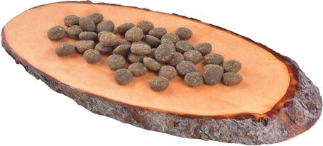 Carnilove True Fresh Dog Adult Fish with Chickpeas & Apples