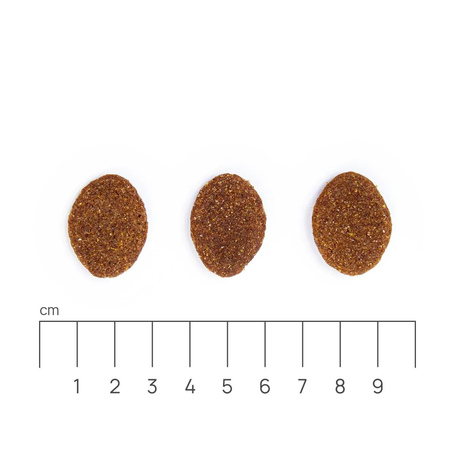 Eminent Selection Adult Large Breed Pork & Duck Gluten Free