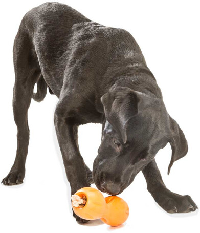 West Paw Qwizl - Jutalomfalattal tölthető rágóka