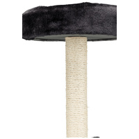 Trixie Tarifa kaparófa peremes fekhellyel kölyökmacskáknak #4