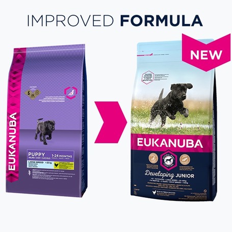 Eukanuba Junior Large nagytestű és óriás testű kutyáknak