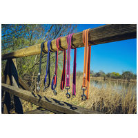 Julius-K9 Color & Gray póráz fogóval #6