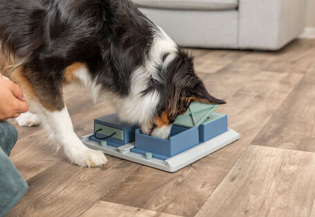 Trixie Dog Activity Poker Box ügyességi játék kutyának