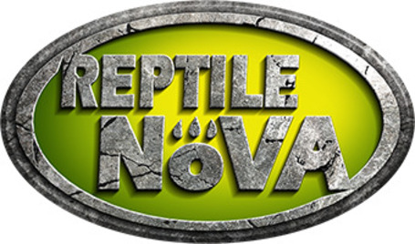 Reptile Nova
