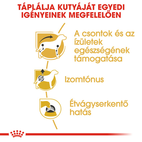 Royal Canin Dachshund Adult - Tacskó felnőtt kutya nedves táp