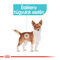 Royal Canin Mini Urinary Care - Száraz táp felnőtt kistestű kutyák részére az alsó hugyúti problémák megelőzéséért