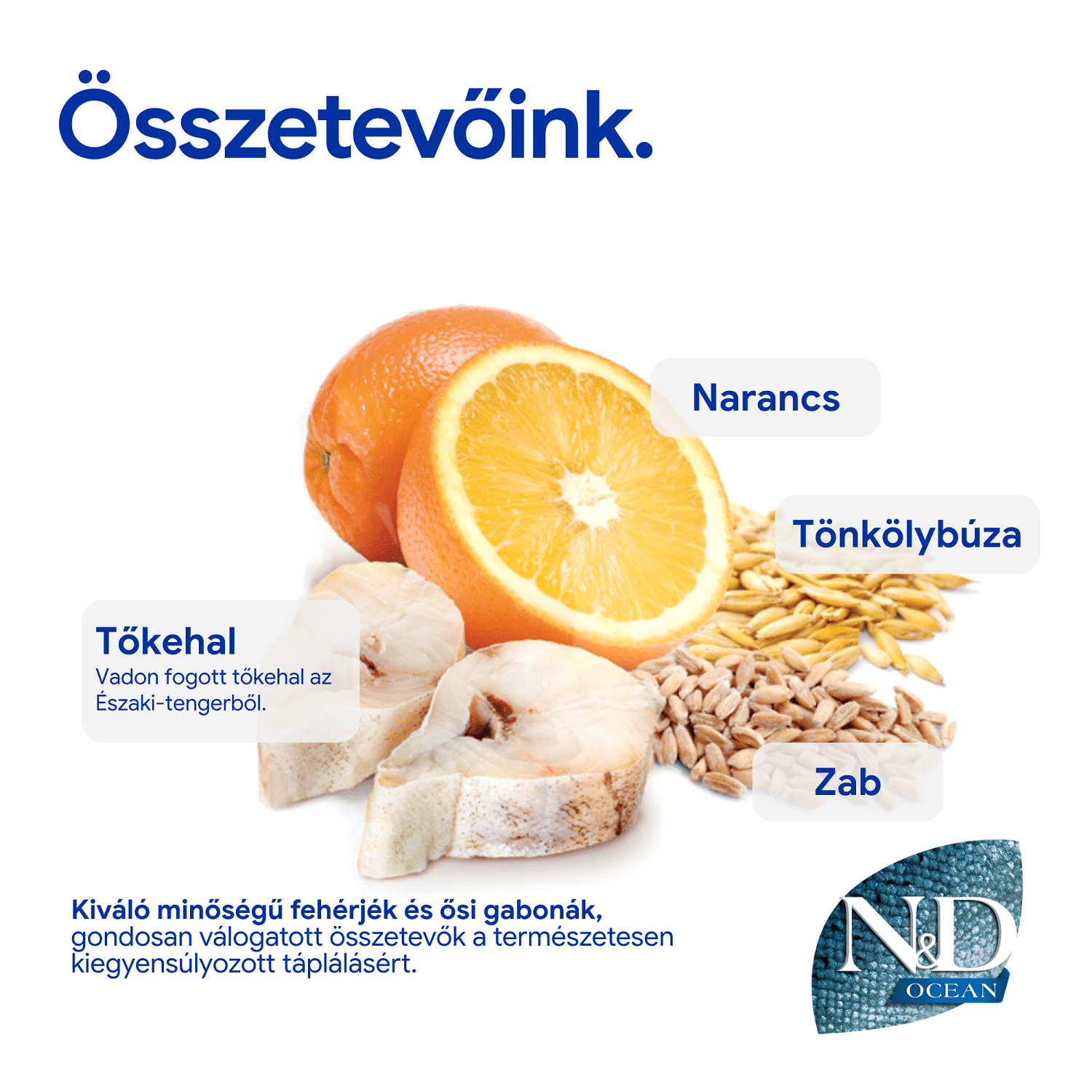 N&D Dog Ocean Adult Mini Codfish & Orange | Tőkehalas és narancsos kutyaeledel | Kistestű felnőtt kutyáknak