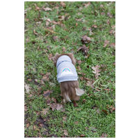 Trixie kapucnis pulcsi kutyáknak szivárvány és felhő rajzzal #3