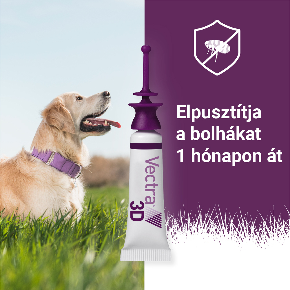 Vectra 3D repellens spot on kutyáknak