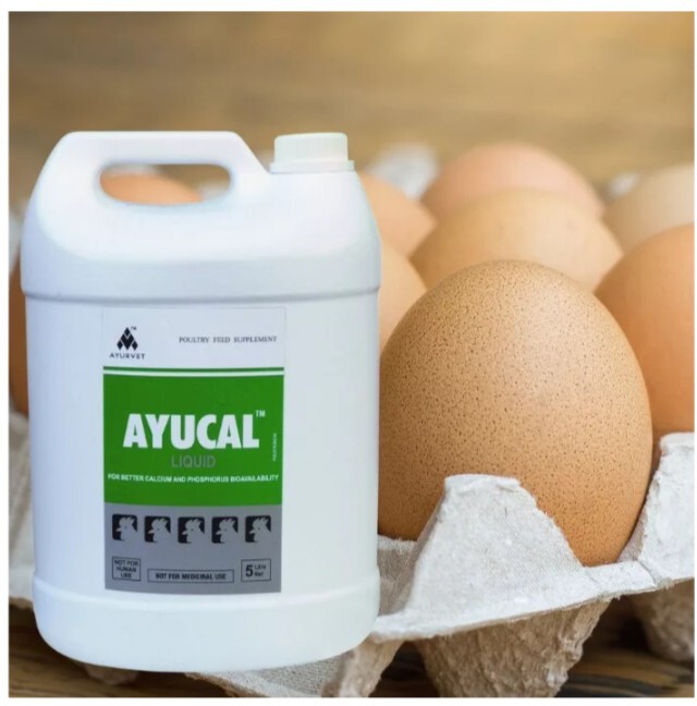 Ayucal kalcium-, foszfor- és tojáshéj-erősítő itatófolyadék - zoom