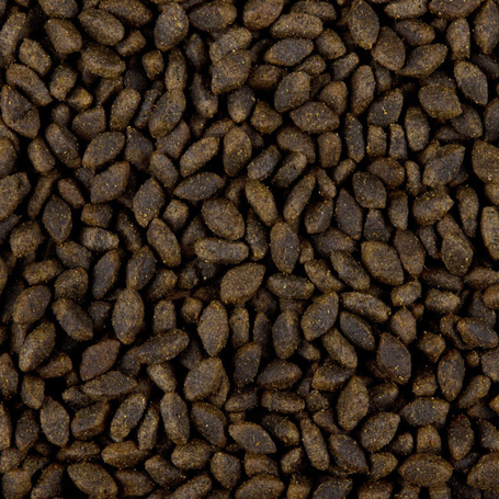 Sam's Field Grain Free Adult Venison