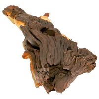 Mopani afrikai vasfa akváriumba #5