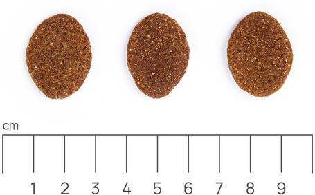 Eminent Adult Large Breed | Táp nagytestű felnőtt kutyáknak