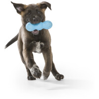 West Paw Rumpus rágóbot #7