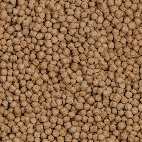 Sera Koi Royal Medium főeleség serdülő koi pontynak