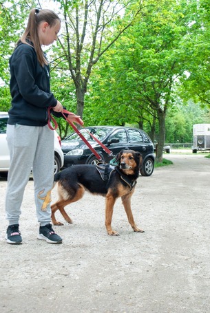 Bözsi, a 10 éves idős hölgy