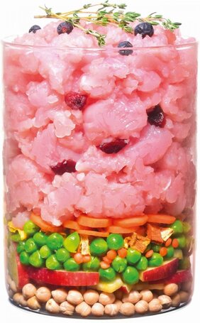 Carnilove True Fresh Dog Adult Turkey Red Lentils & Lemna