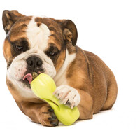 West Paw Qwizl - Jutalomfalattal tölthető rágóka #10