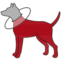 Szivacsos védőgallér kutyáknak #6