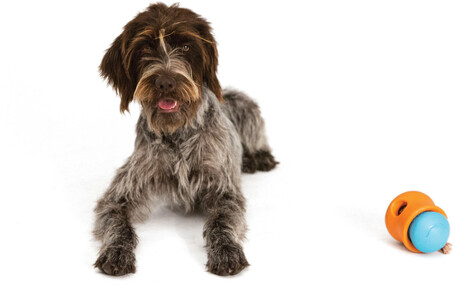 West Paw Toppl - Jutalomfalattal tölthető kutyajáték