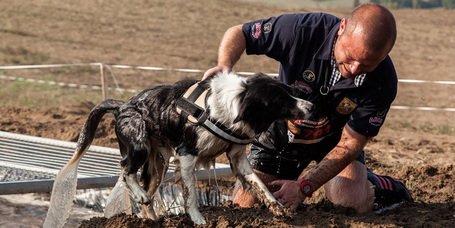 Hard Dog Race Wild - Egy verseny kutya kemény párosoknak