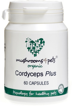 Mushrooms 4 Pets Cordyceps Plus pentru sănătatea animalelor îmbătrânite