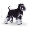 Royal Canin Miniature Schnauzer Adult - Törpe schnauzer felnőtt kutya száraz táp