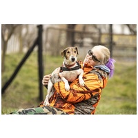 Jack, 7 éves, 42 cm magas, Jack Russell-terrier kan #3