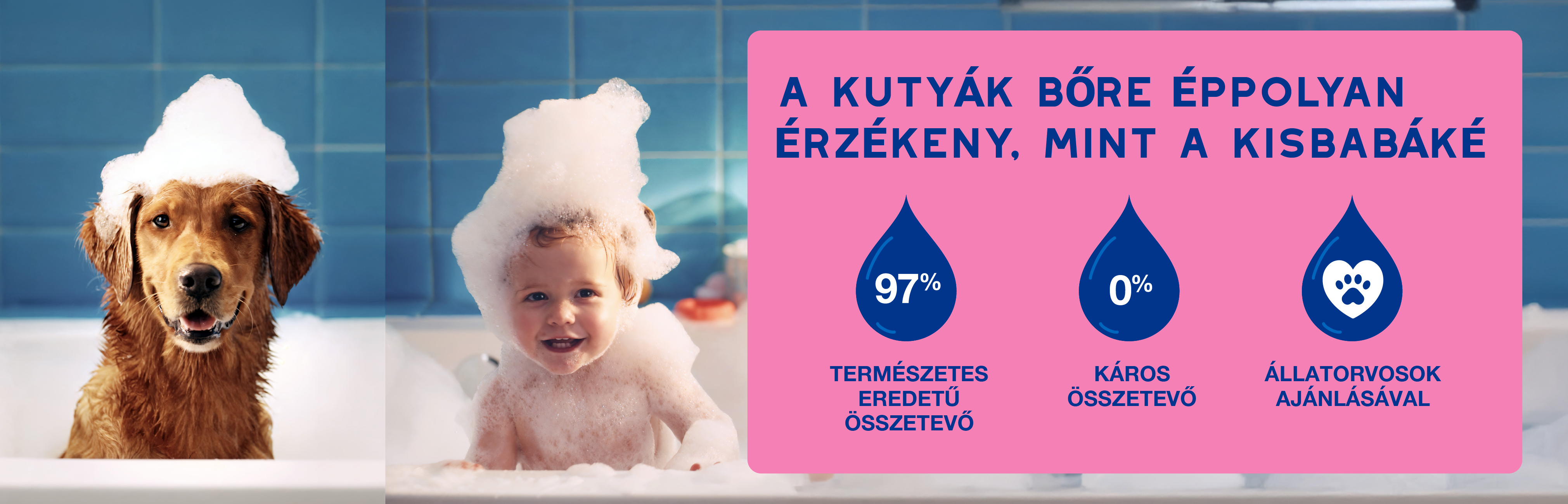 Douxo Spa viszketéscsillapító sampon kutyáknak érzékeny bőrre