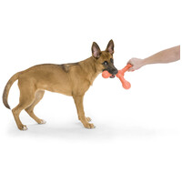 West Paw Skamp - Apport kutyajáték #6