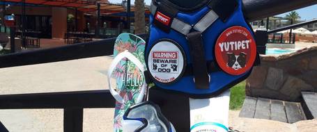 Yutipet RnD párnázott biztonsági kutyahám (Kék)