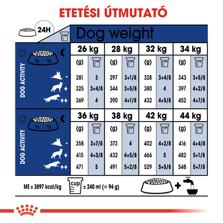 Royal Canin Maxi Adult 5+ | Nagytestű idősödő kutya száraz táp
