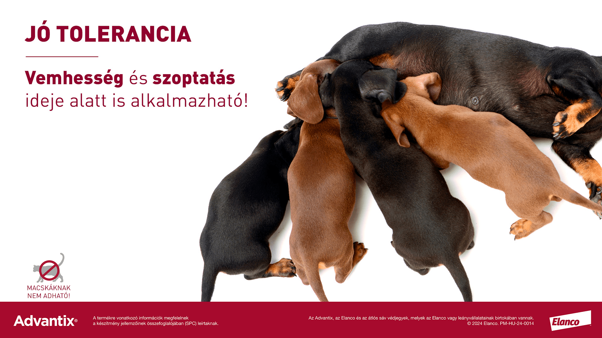 Advantix Spot On kutyáknak