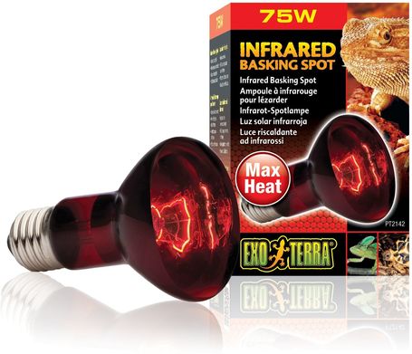 Exo Terra Infrared Basking Spot infravörös melegítőlámpa terráriumba
