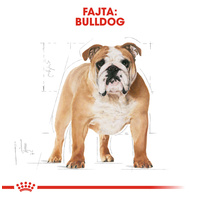 Royal Canin Bulldog Adult - Angol Bulldog felnőtt kutya száraz táp #2