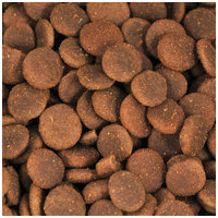 Acana Pacifica Dog #5