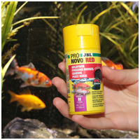 JBL ProNovo Red Grano M #8