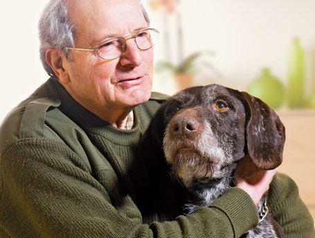 Belcando Senior Sensitive | Táp idős, érzékeny kutyáknak