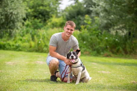 Sparko, két éves, 48 cm magas, kan