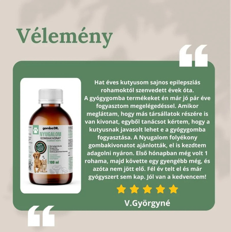 Gomba Dr. NYUGALOM folyékony gombakivonat