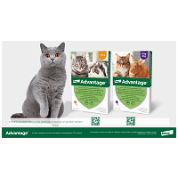 Advantage 80 spot on macskáknak és nyulaknak #8