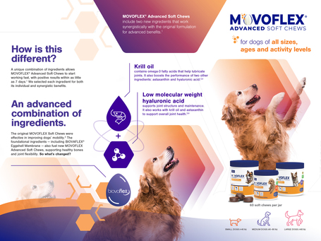 Movoflex ízületvédő rágótabletta