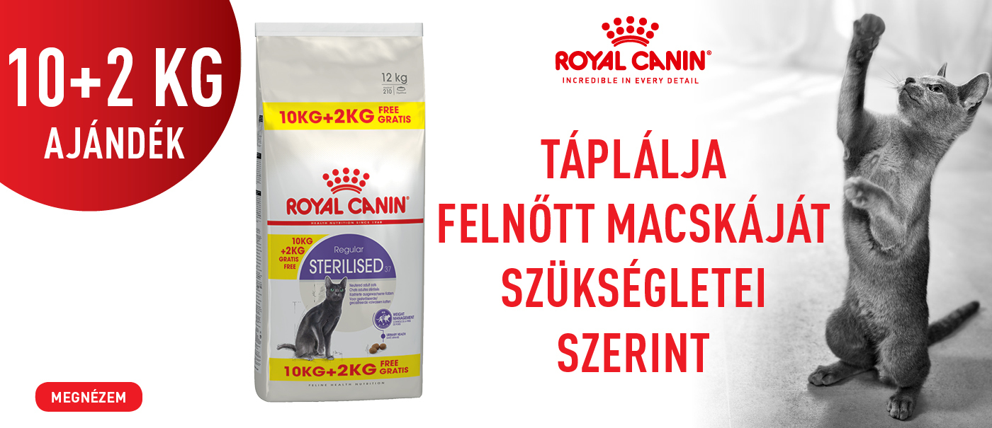 rcmacskasteril