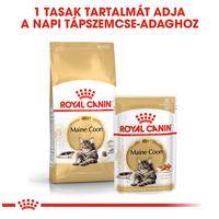 Royal Canin Maine Coon Adult - Maine Coon felnőtt macska nedves táp #7
