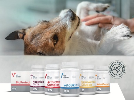 Vet Expert VetAminex