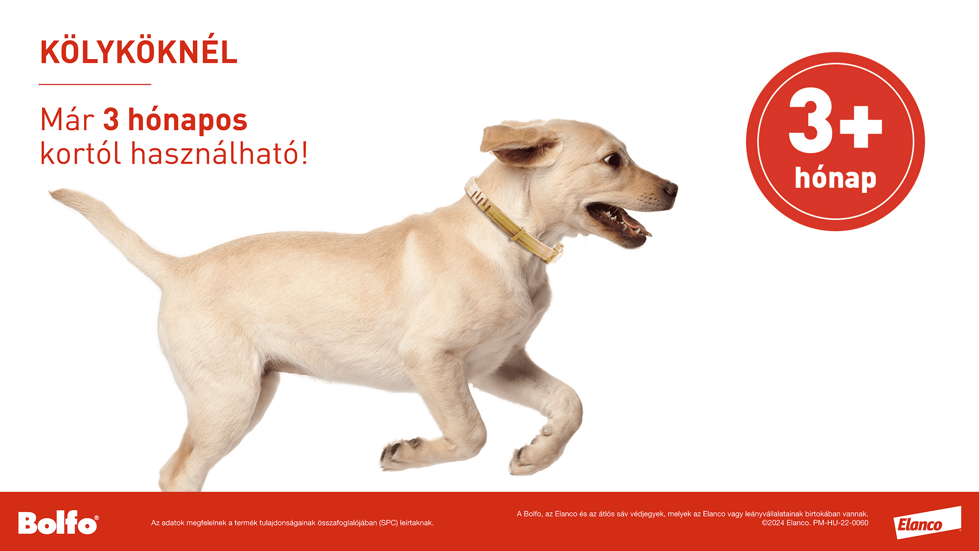 Zgardă Bolfo - zoom