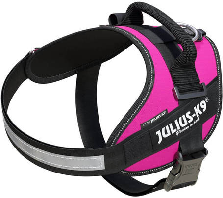 Julius-K9 IDC sötétrózsaszín powerhám kutyáknak